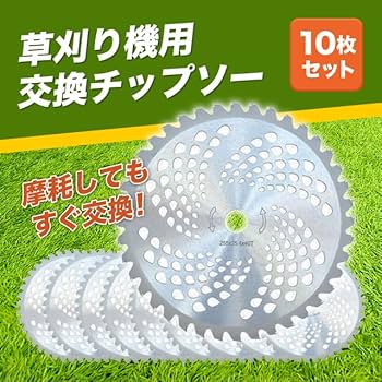 Amazon.co.jp: チップソー 草刈り刃 刈払い機 刃 10枚セット 40P 255mm